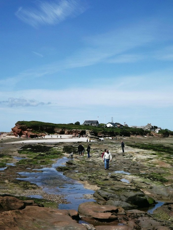 Walk across to hilbre island